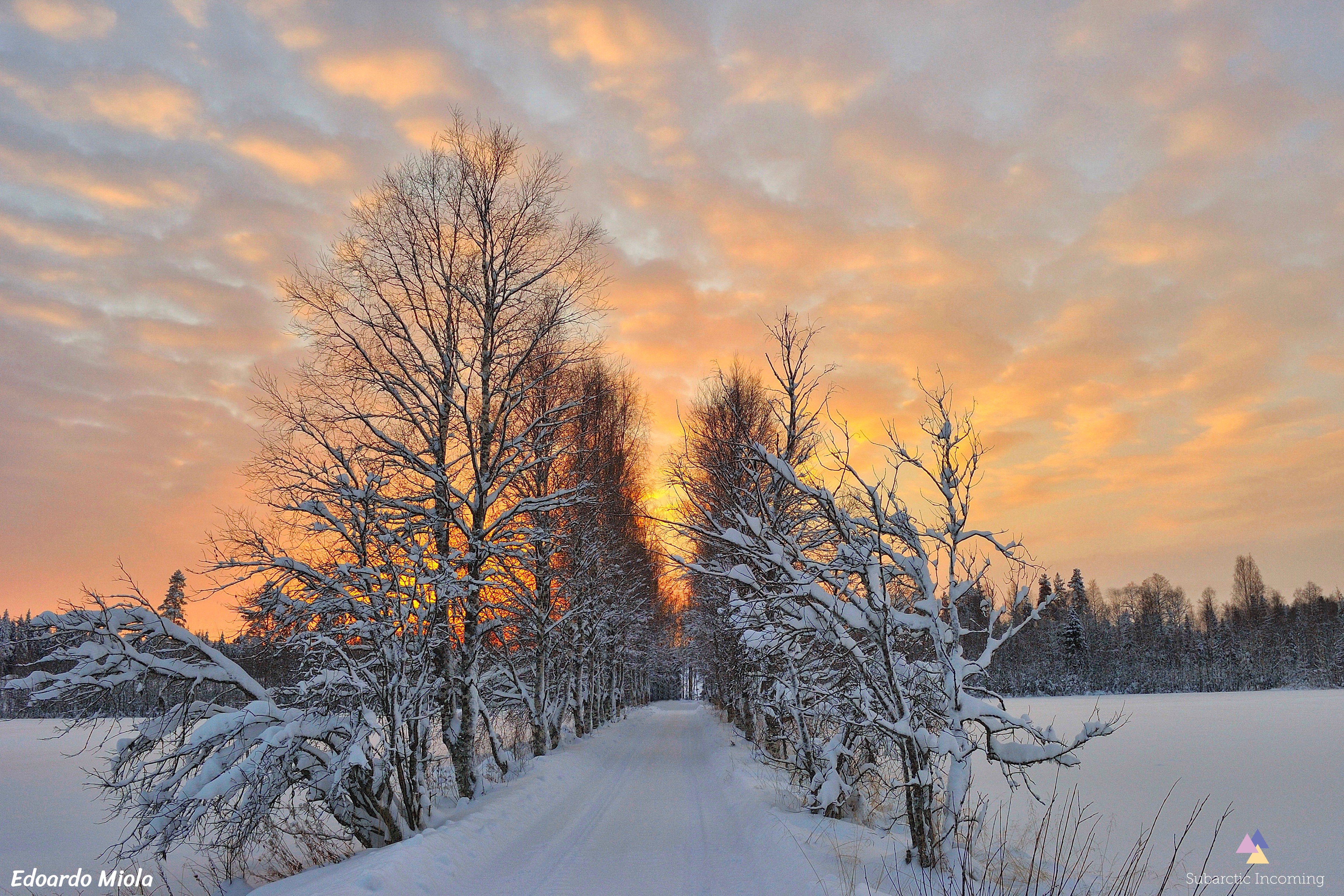 Winter Landscapes