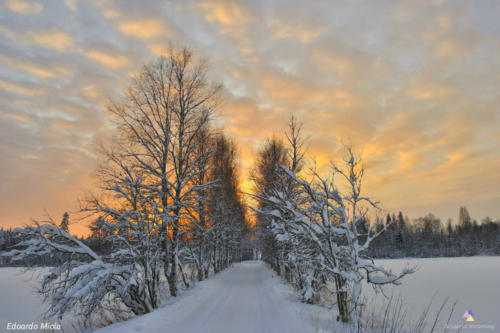 Swedish Lappland Landscape