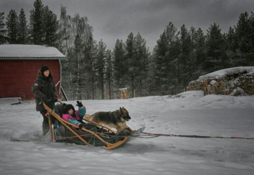 Accessible dogsledding with huskies