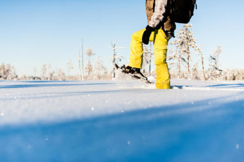 Snowshoeing